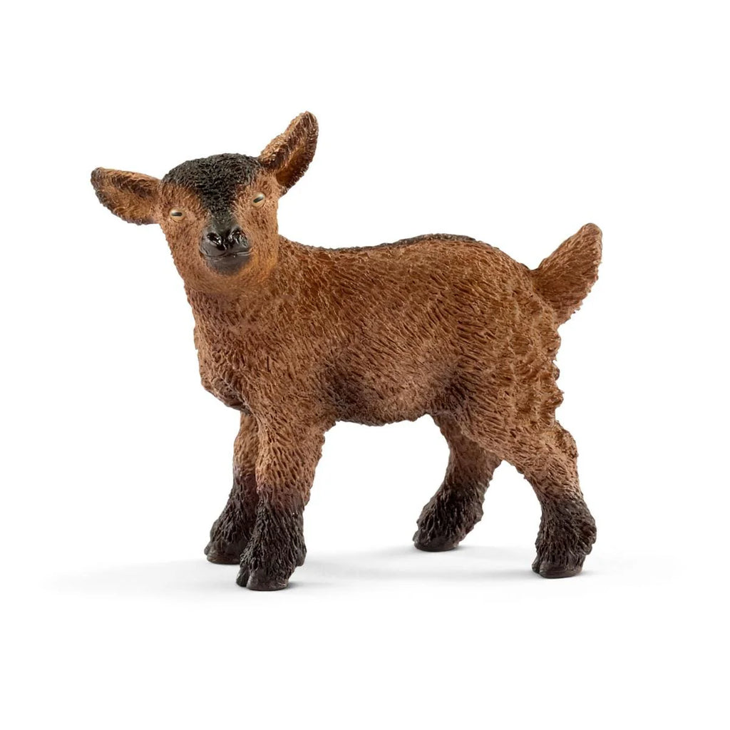 Schleich | Goat Kid | ChocoLoons