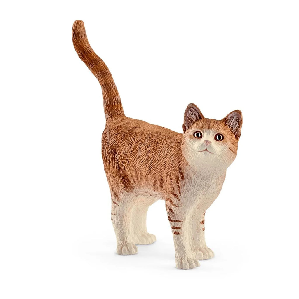 Schleich | Cat | ChocoLoons