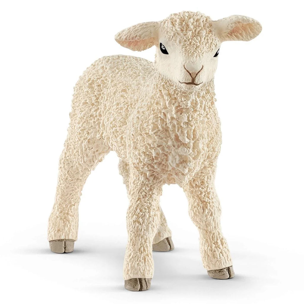 Schleich | Lamb | ChocoLoons