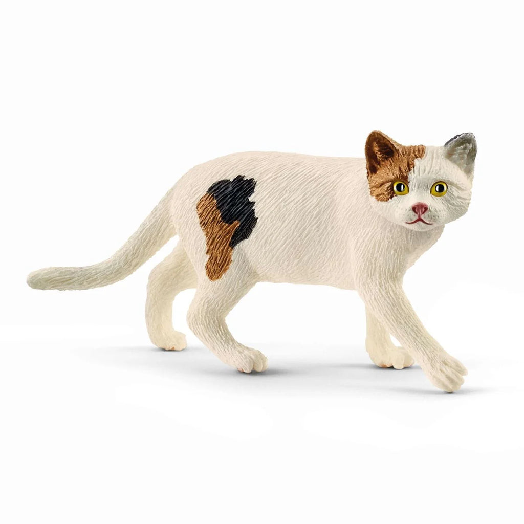 Schleich | American Shorthair Cat | ChocoLoons