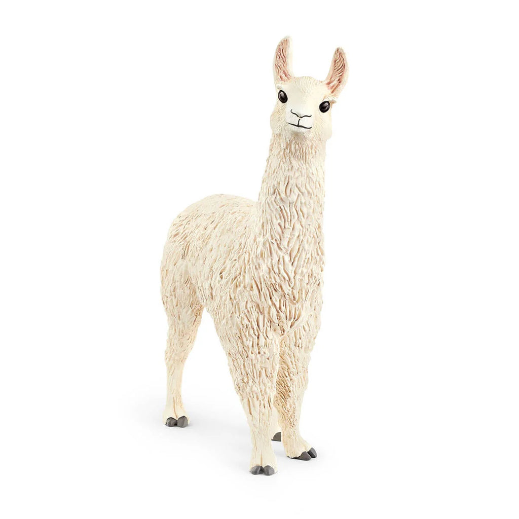 Schleich | Llama | ChocoLoons