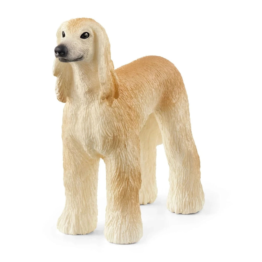 Schleich | Afghan Hound | ChocoLoons