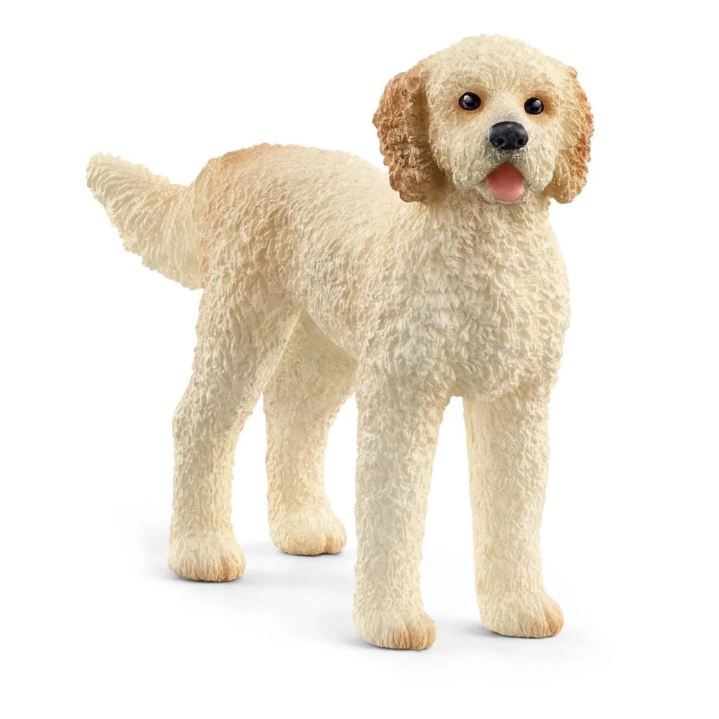 Schleich | Goldendoodle | ChocoLoons