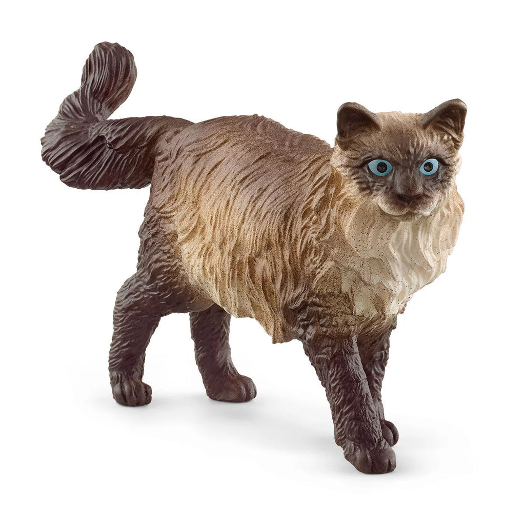 Schleich | Ragdoll Cat | ChocoLoons