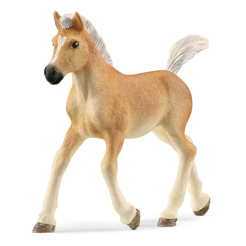 Schleich | Haflinger Foal | ChocoLoons