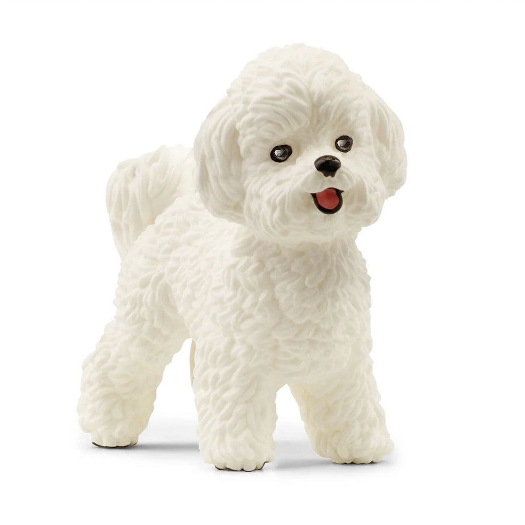 Schleich | Bichon Frise | ChocoLoons