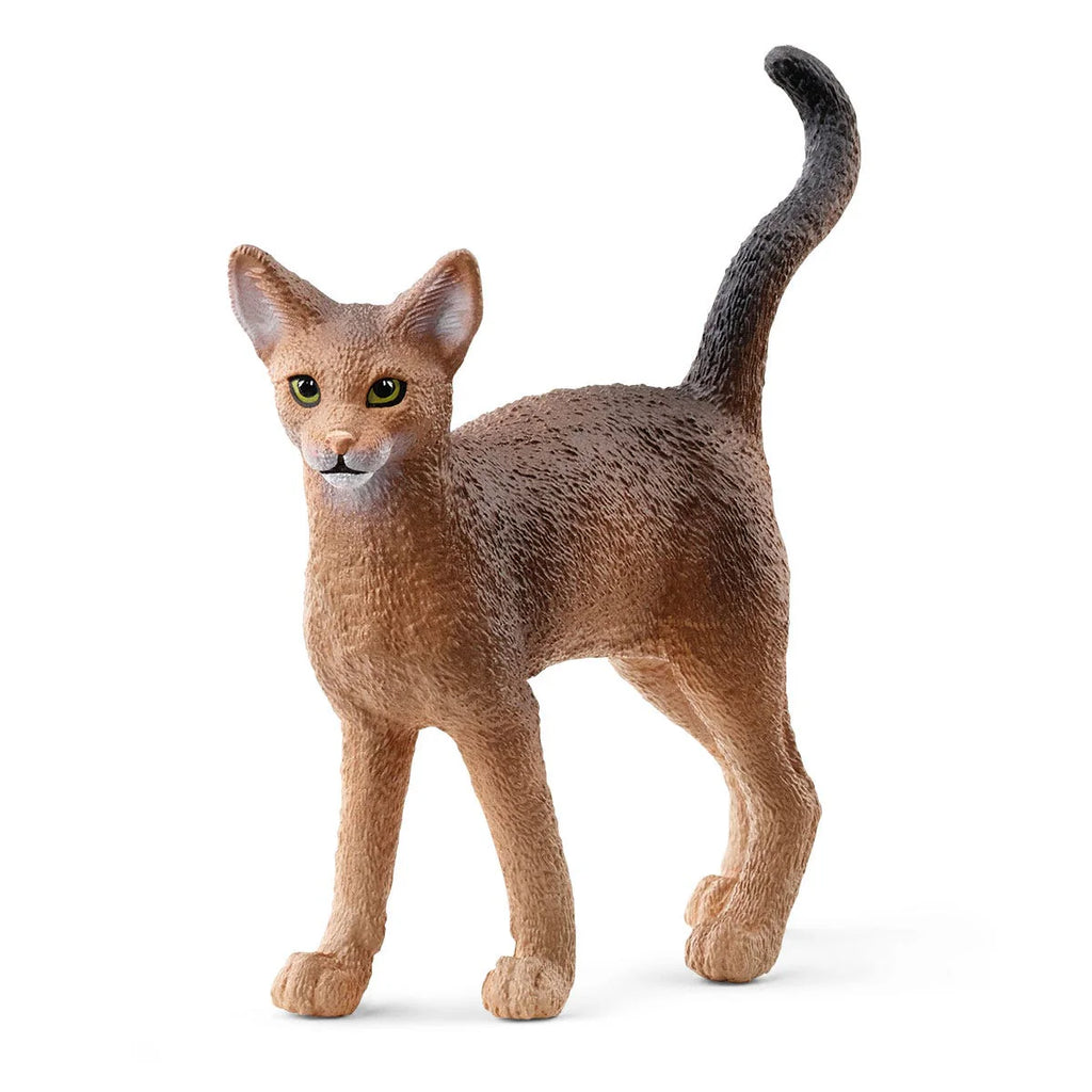 Schleich | Abyssinian Cat | Figure | ChocoLoons