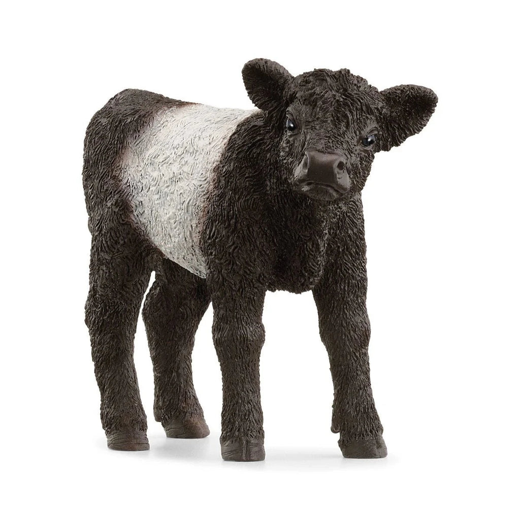 Schleich | Galloway Calf | Figurine | ChocoLoons