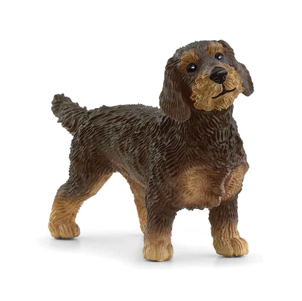 Schleich | Wire-Haired Dachshund | ChocoLoons