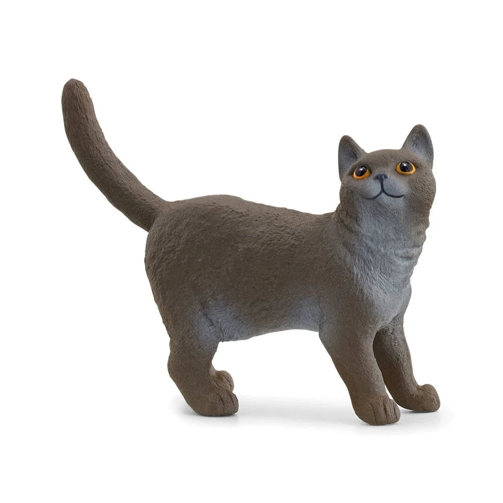 Schleich | British Shorthair Cat | Figure | ChocoLoons