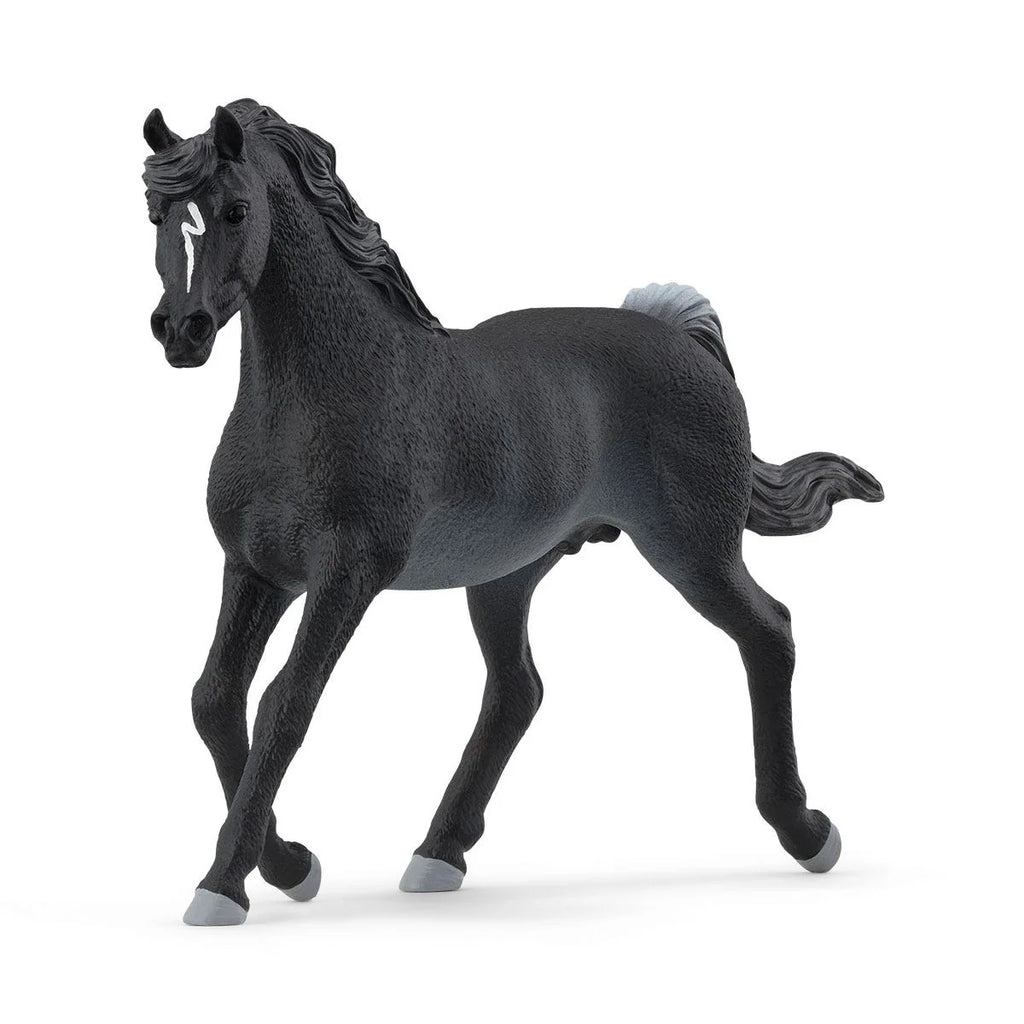 Schleich | Arabian Stallion | Figure | ChocoLoons