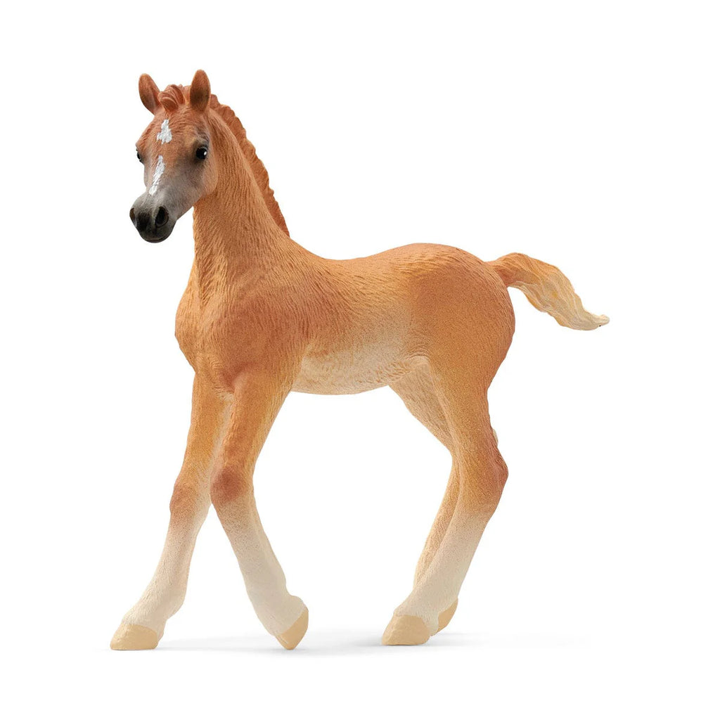 Schleich | Arabian Foal | Figure | ChocoLoons