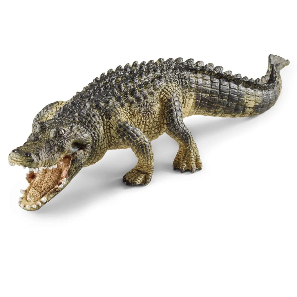 Schleich | Alligator | ChocoLoons