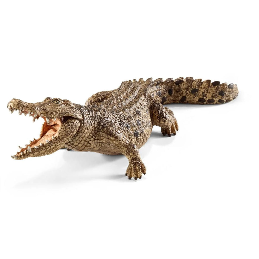 Schleich | Crocodile | ChocoLoons