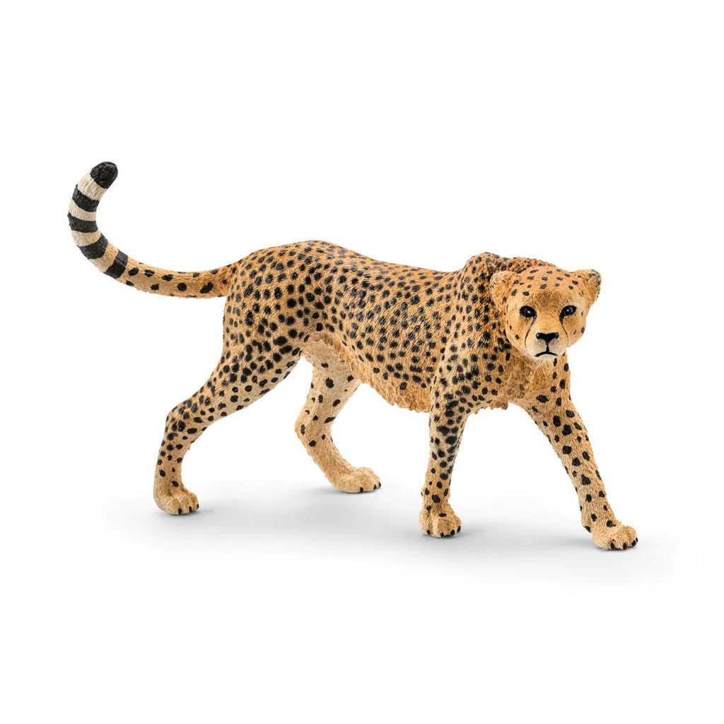 Schleich | Cheetah Female | ChocoLoons