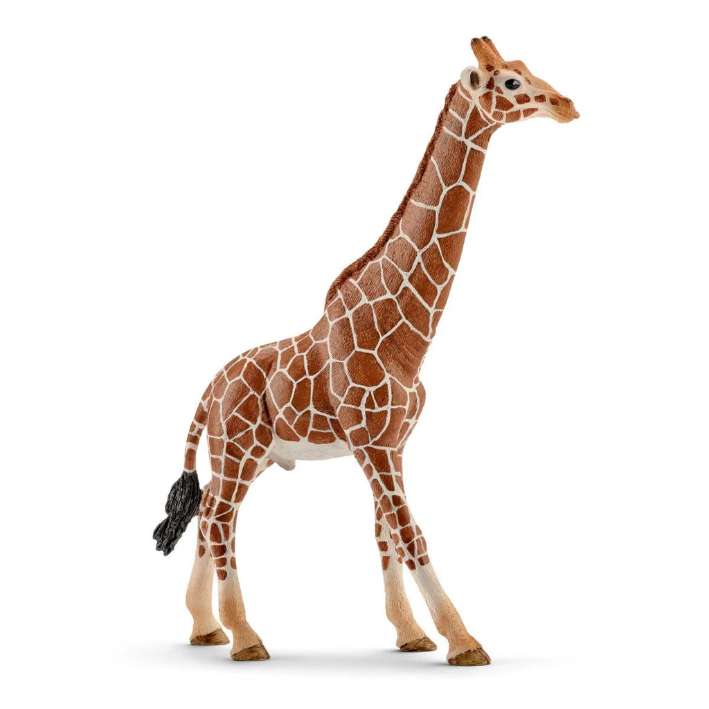 Schleich | Giraffe Male | Figure | ChocoLoons