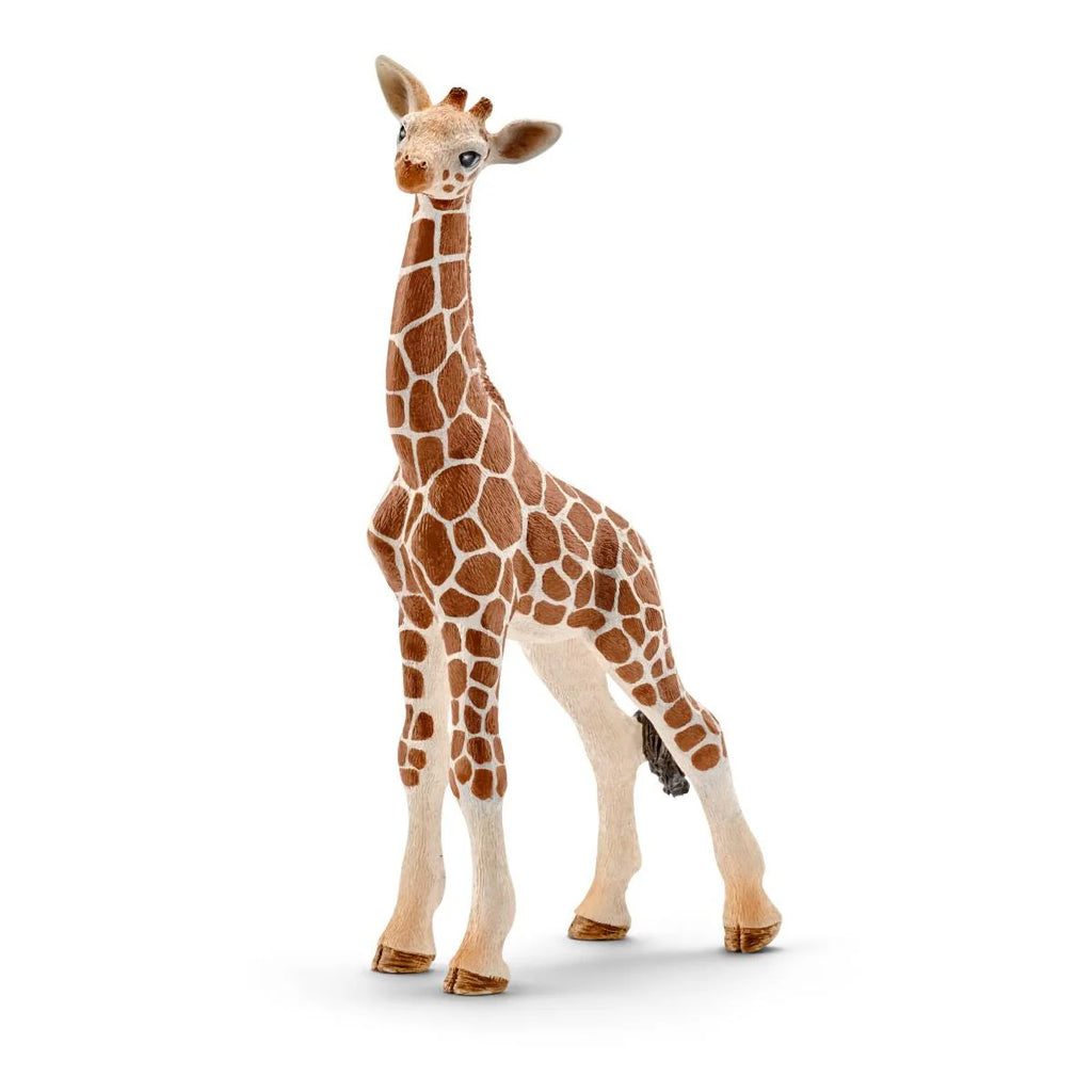 Schleich | Giraffe Calf | Figure | ChocoLoons