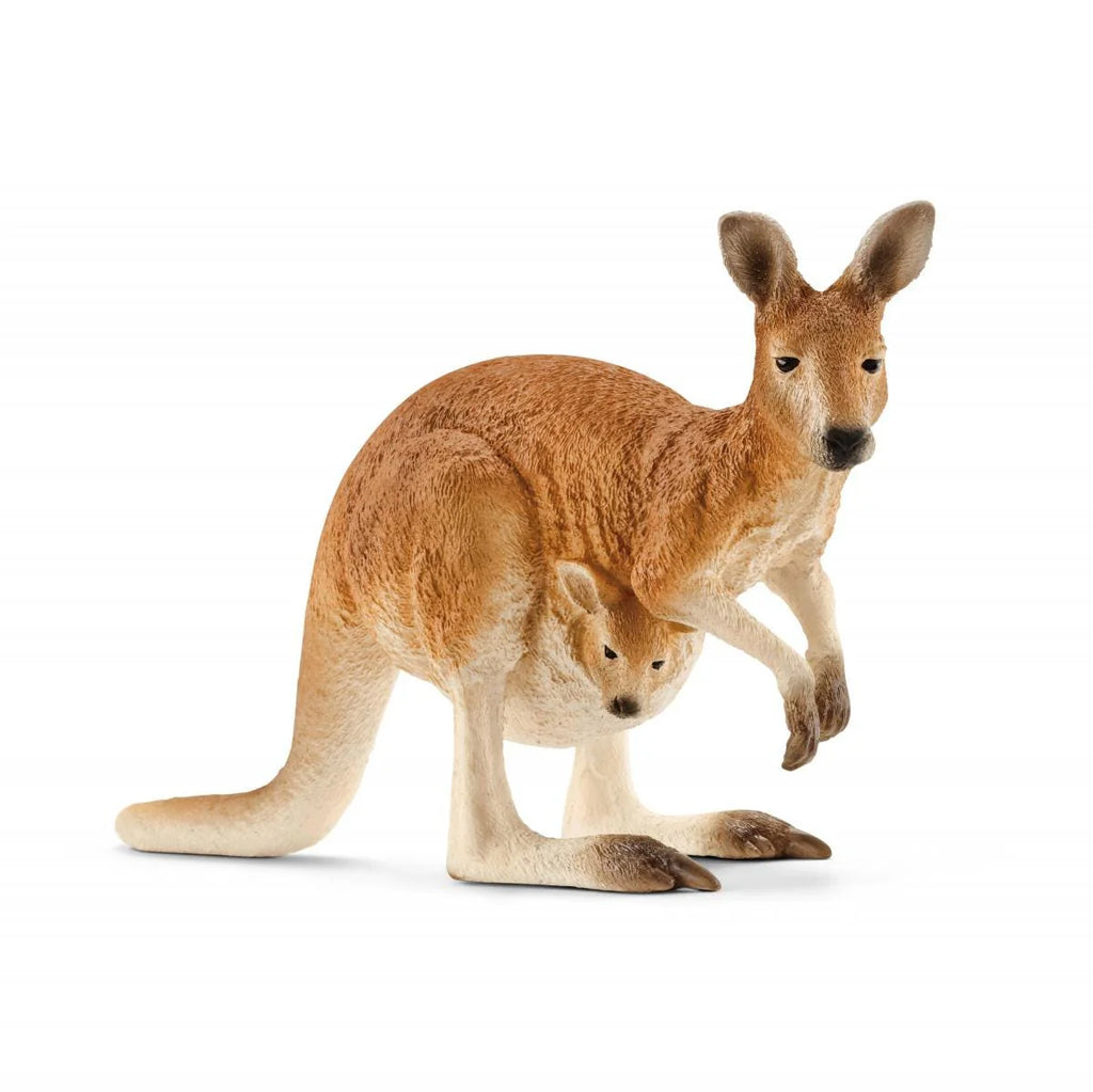 Schleich | Kangaroo | ChocoLoons