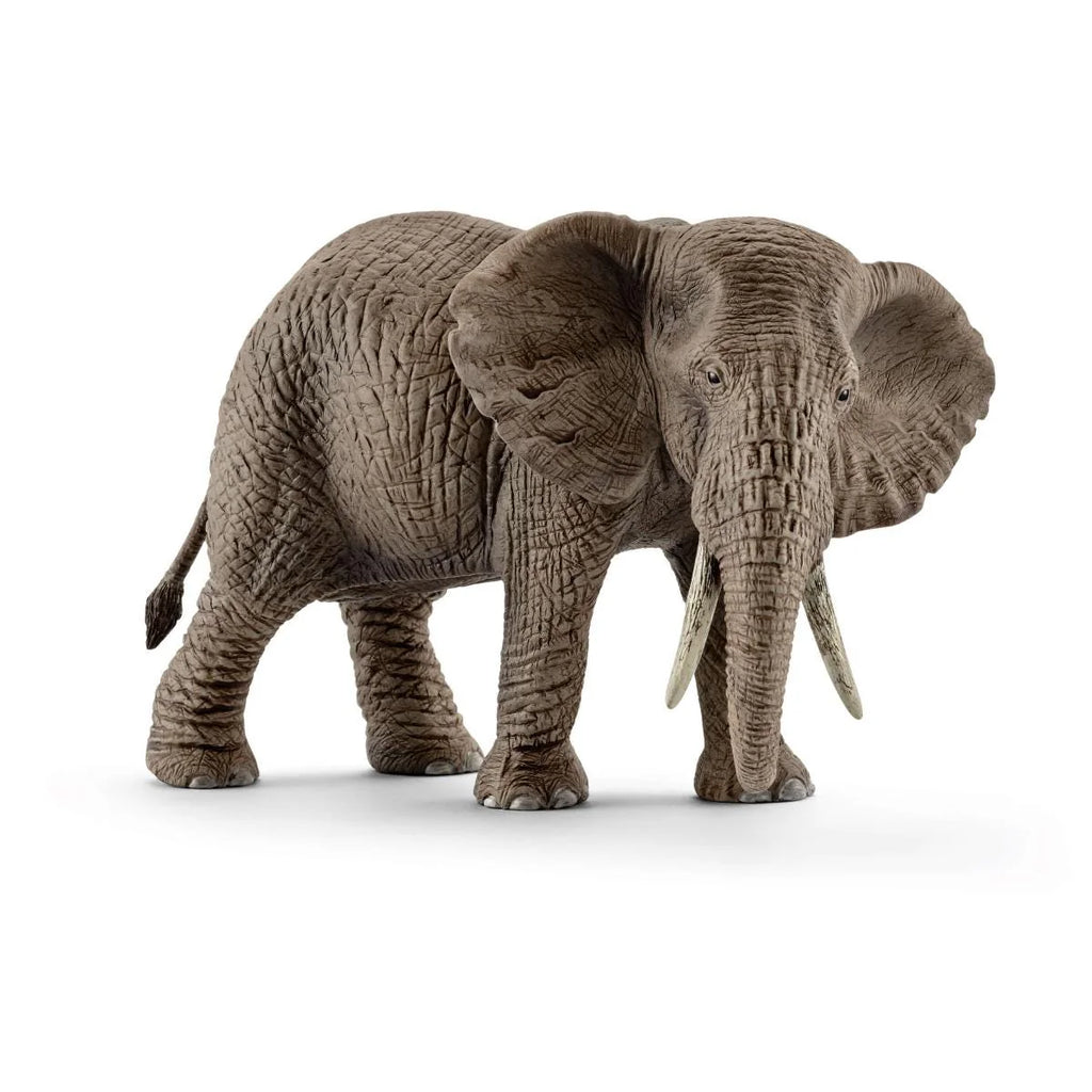 Schleich | African Elephant Female | ChocoLoons