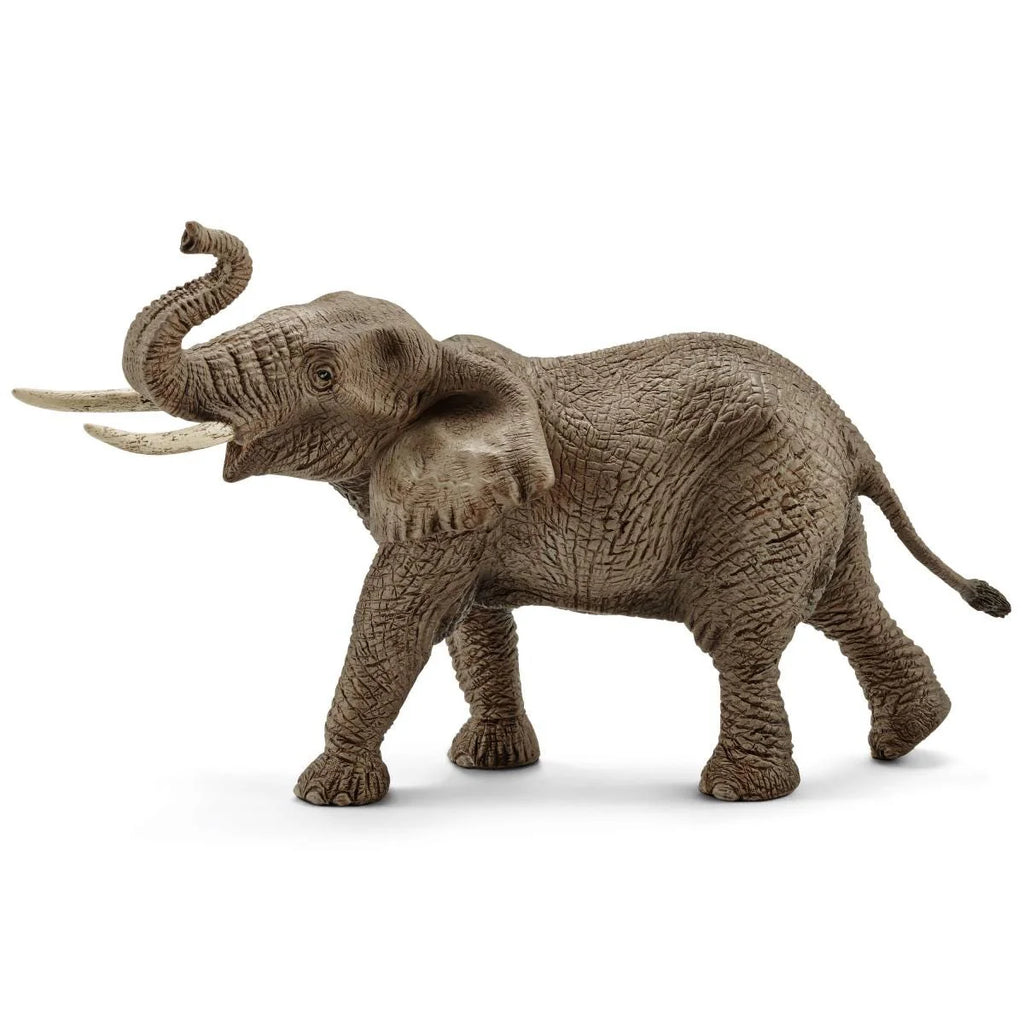 Schleich | African Elephant Male | ChocoLoons