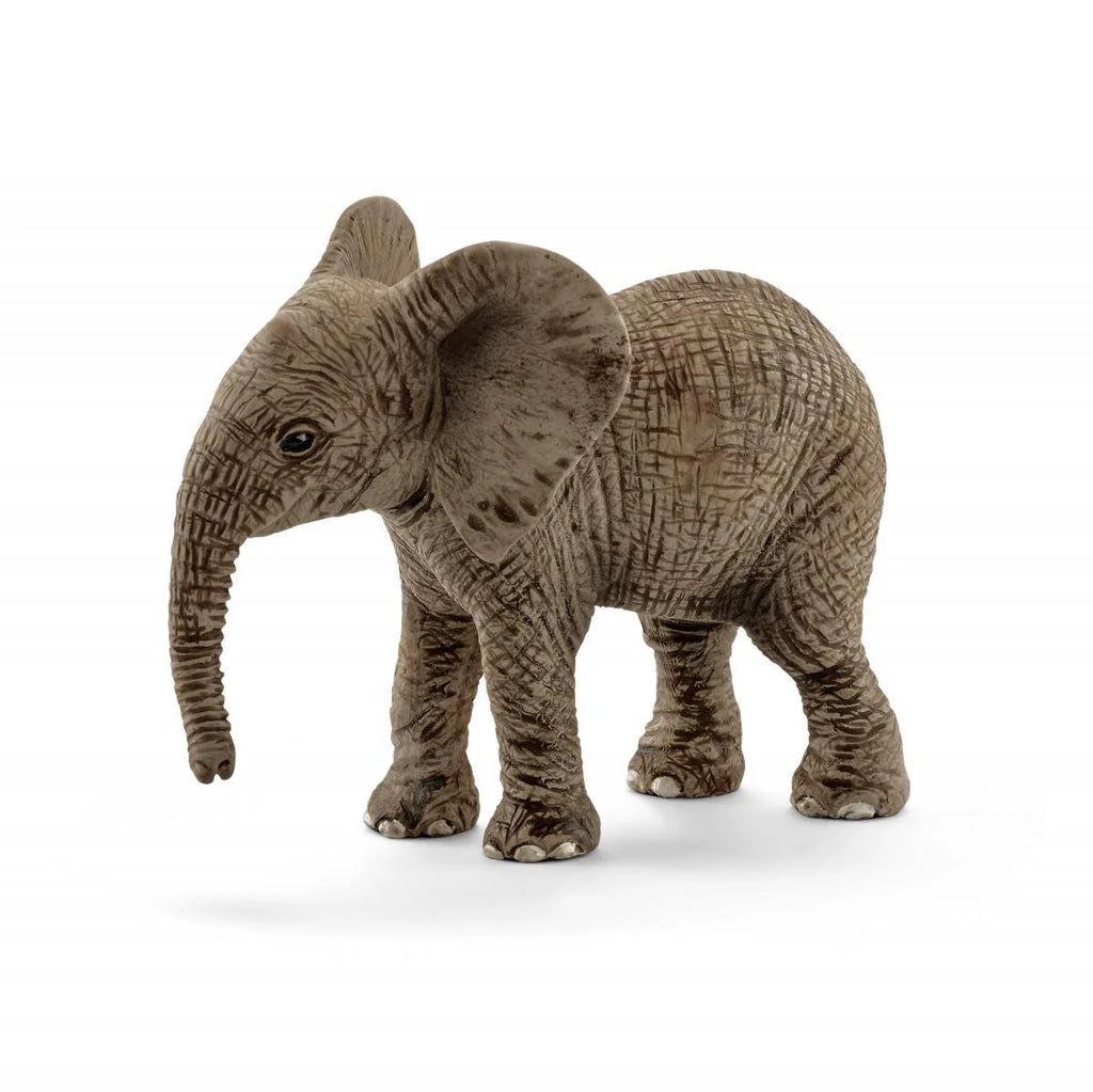 Schleich | African Elephant Calf | ChocoLoons