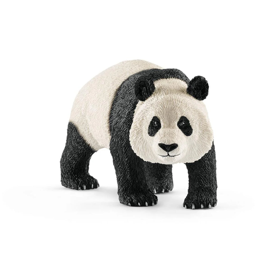 Schleich | Giant Panda Male | ChocoLoons