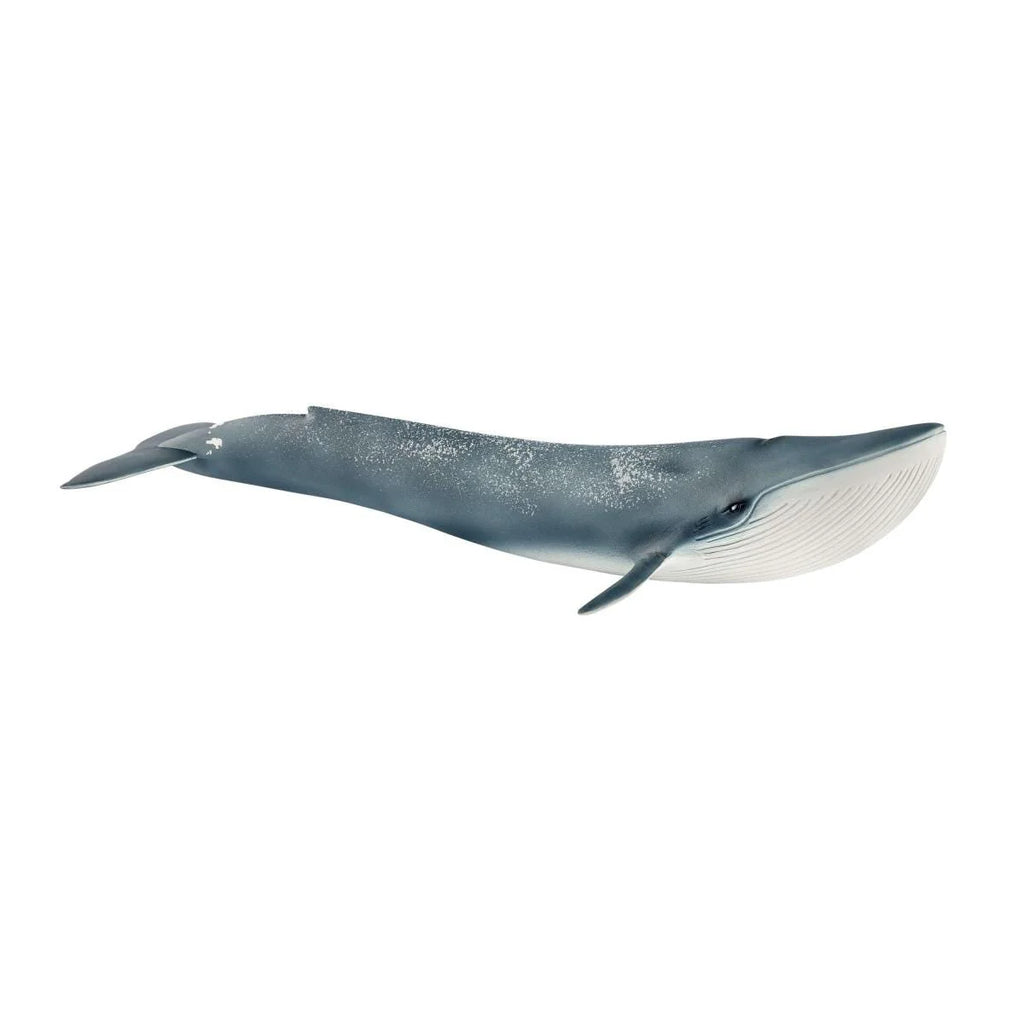 Schleich | Blue Whale | ChocoLoons