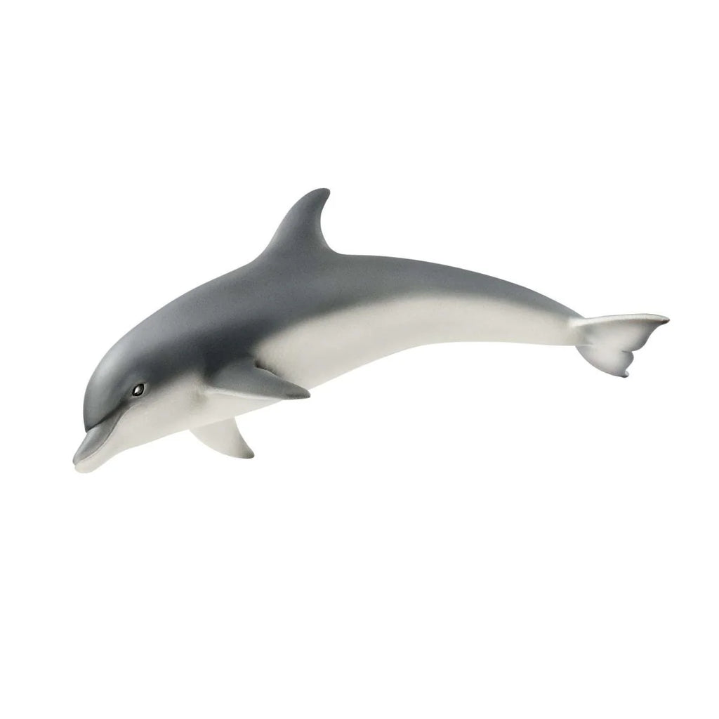 Schleich | Dolphin | ChocoLoons