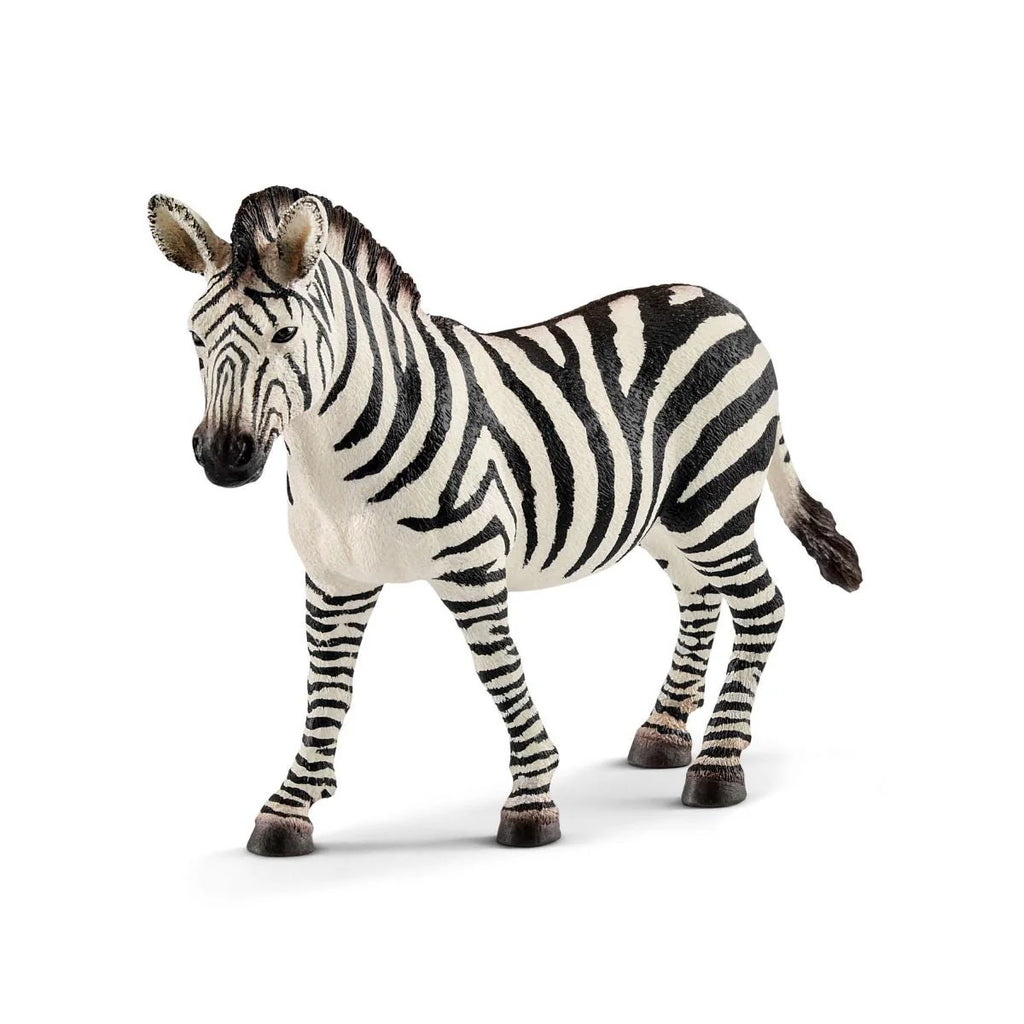 Schleich | Female Zebra | ChocoLoons