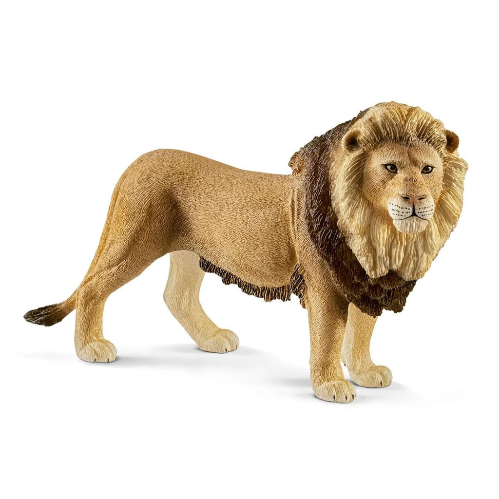 Schleich | Lion | ChocoLoons