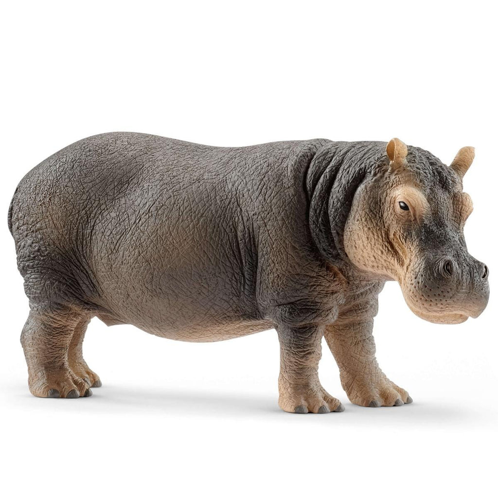 Schleich | Hippopotamus | ChocoLoons