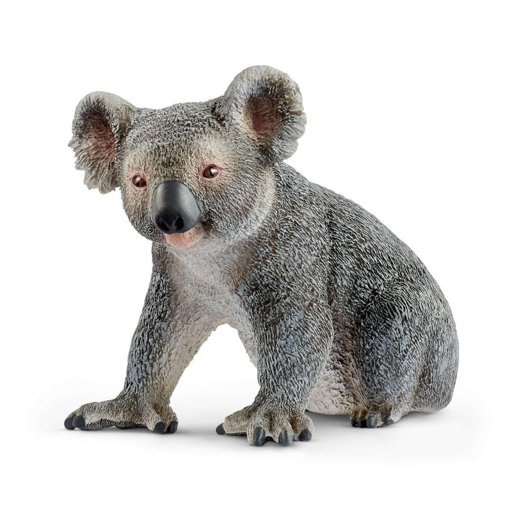 Schleich | Koala | ChocoLoons