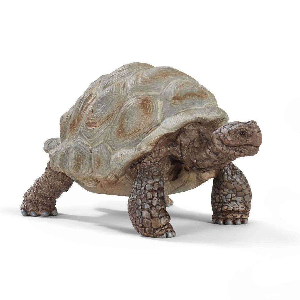 Schleich | Giant Tortoise | ChocoLoons