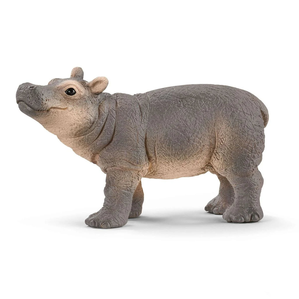 Schleich | Baby Hippopotamus | Figure | ChocoLoons