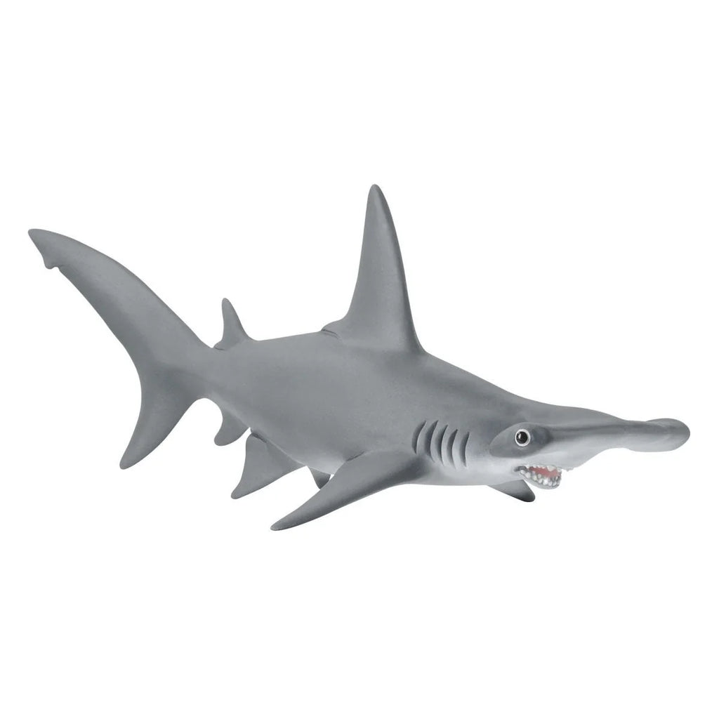 Schleich | Hammerhead Shark | ChocoLoons