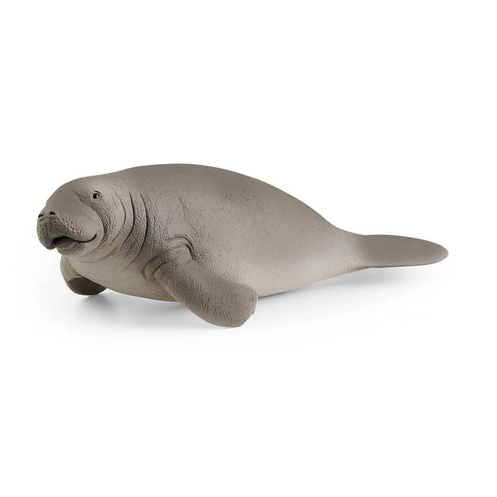 Schleich | Manatee | ChocoLoons