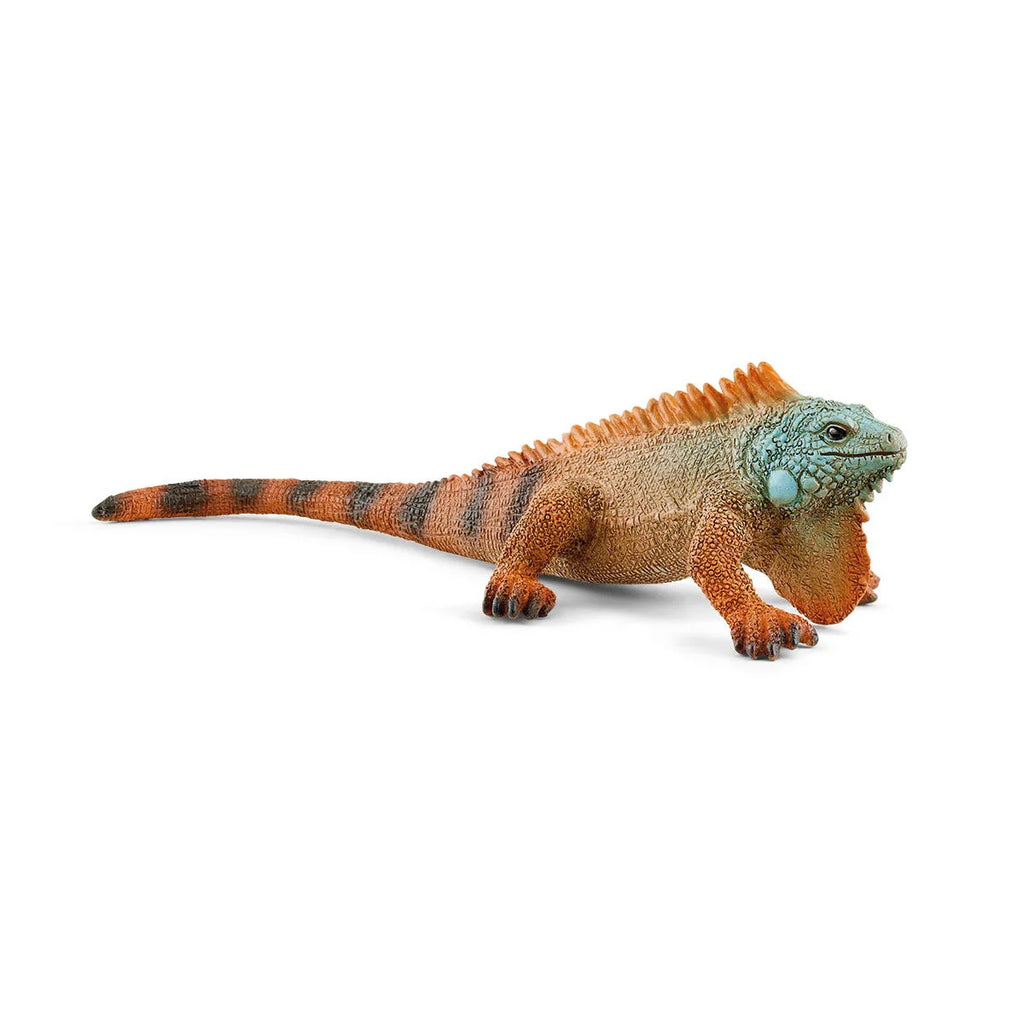 Schleich | Iguana | ChocoLoons