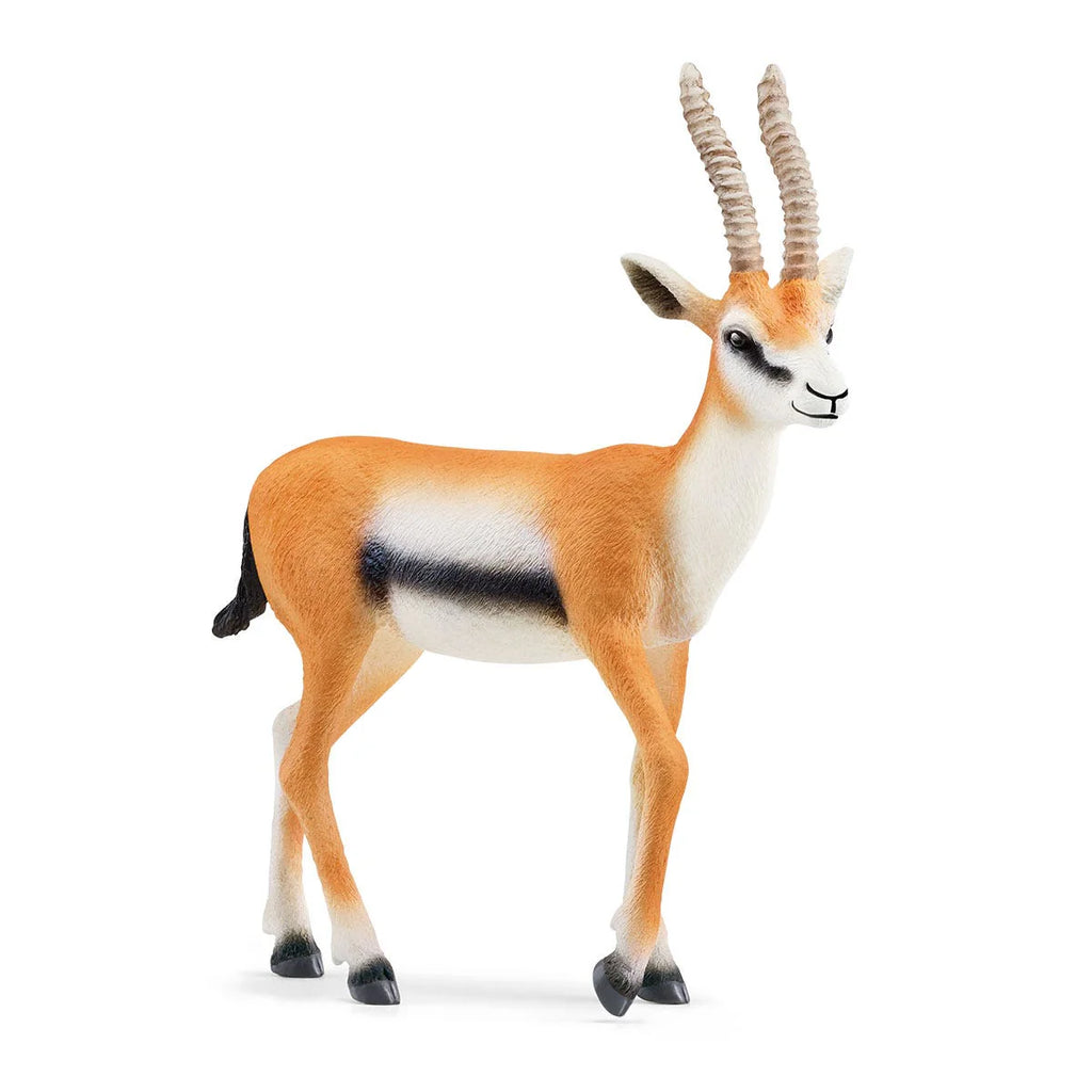 Schleich | Gazelle | ChocoLoons