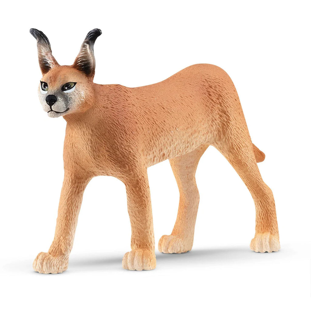 Schleich | Caracal Female | Figure | ChocoLoons