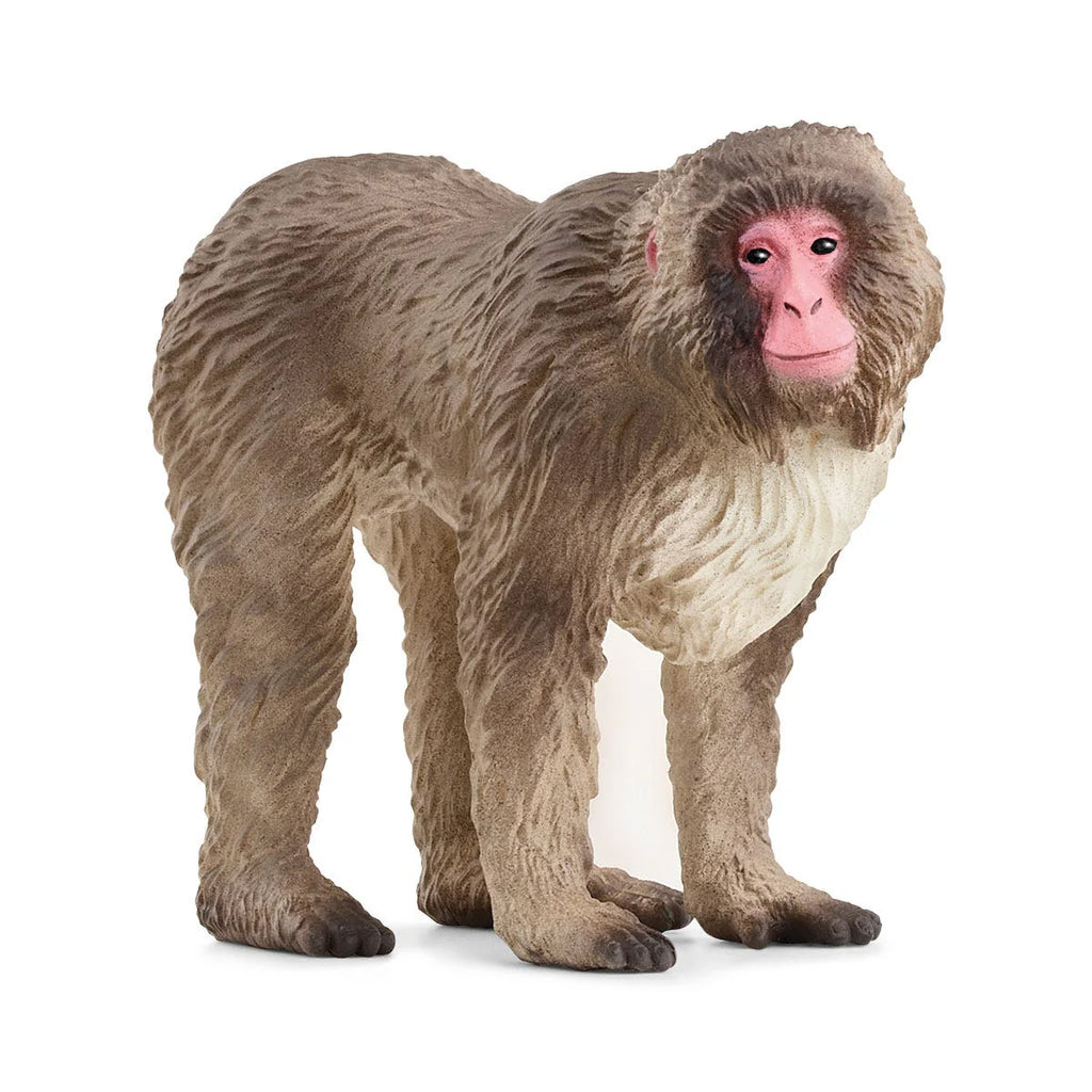 Schleich | Japanese Macaque | ChocoLoons