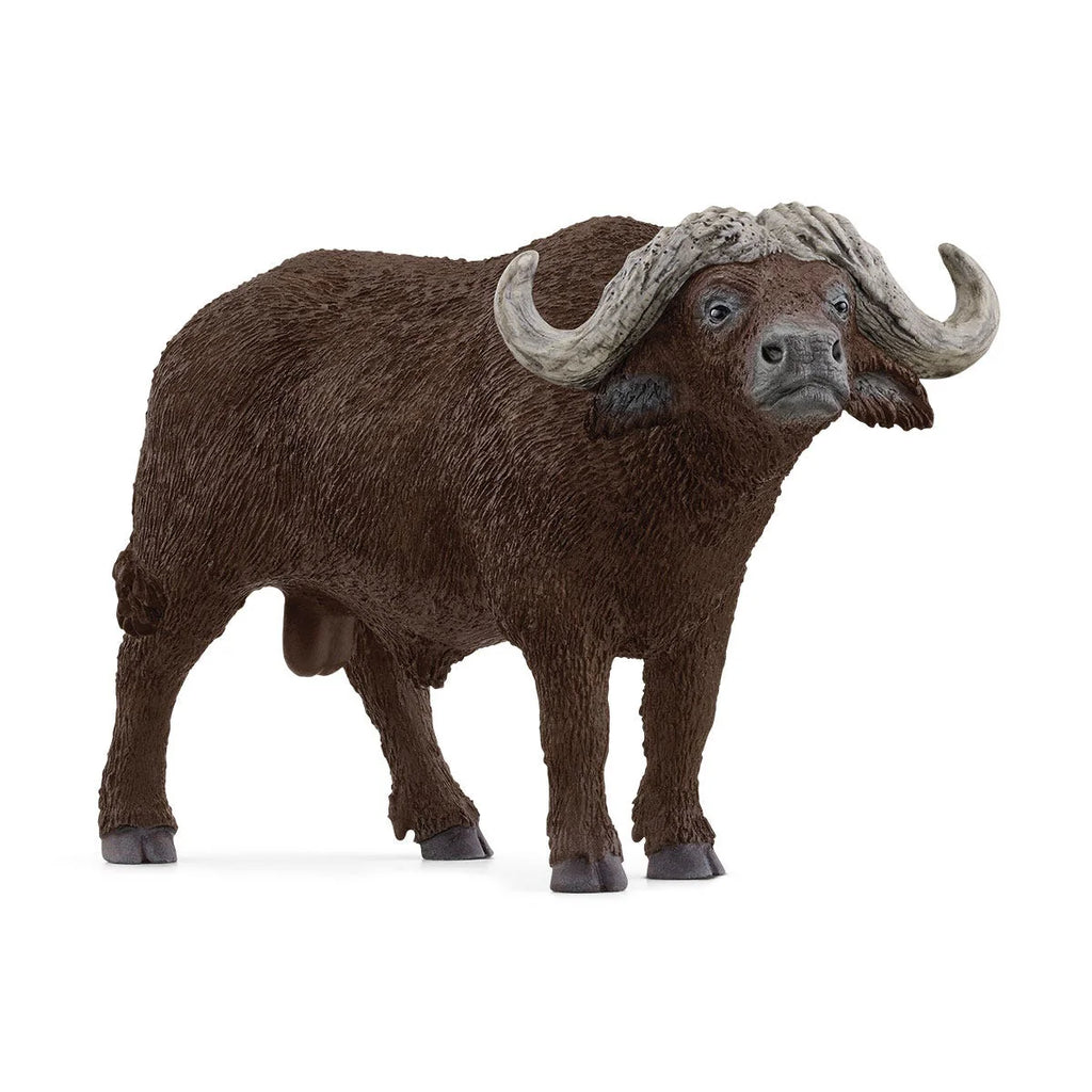 Schleich | African Buffalo | Figure | ChocoLoons