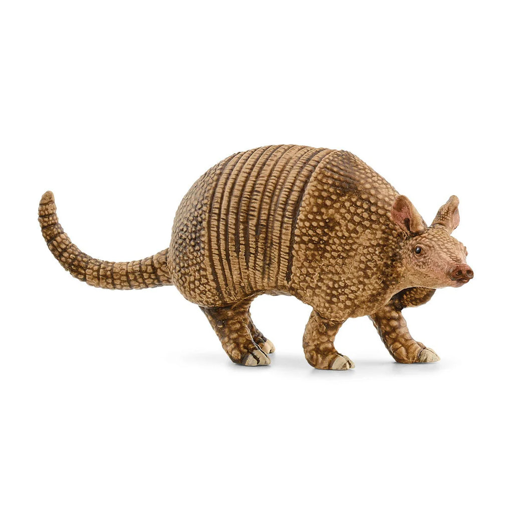 Schleich | Armadillo | Figurine | ChocoLoons