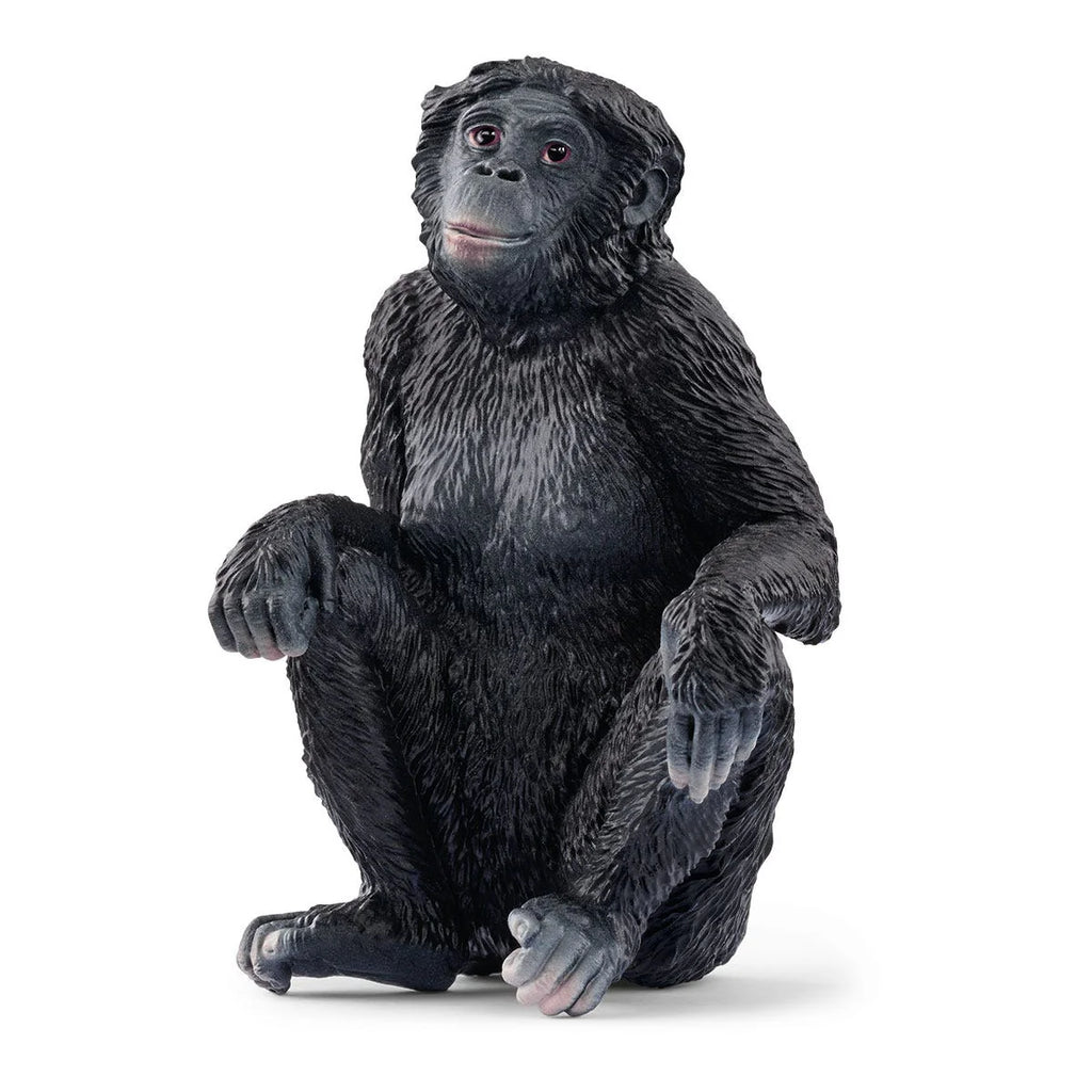 Schleich | Bonobo Female | Figurine | ChocoLoons