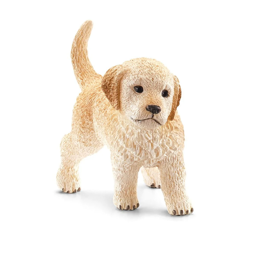 Schleich | Golden Retriever Puppy | ChocoLoons