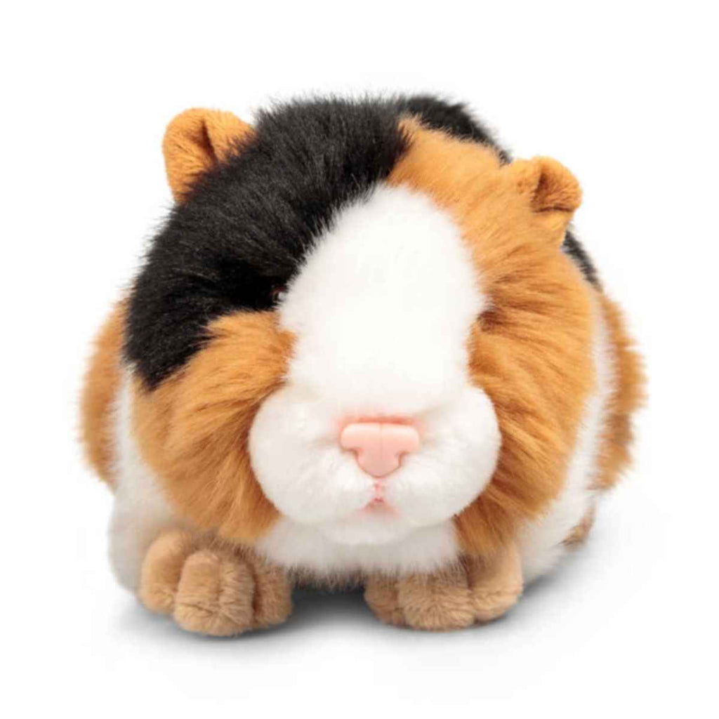 Animigos | World of Nature | Guinea Pig | Front View | ChocoLoons