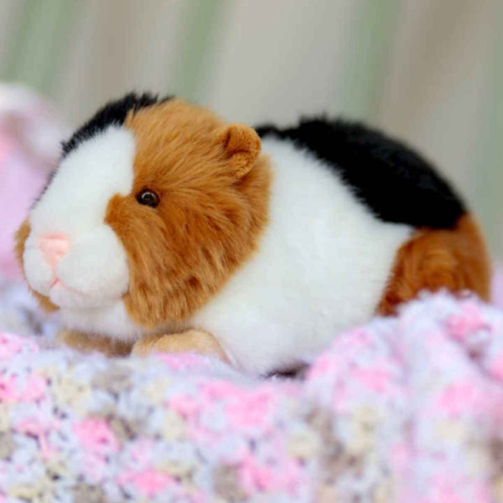 Animigos | World of Nature | Guinea Pig | Dynamic View | ChocoLoons