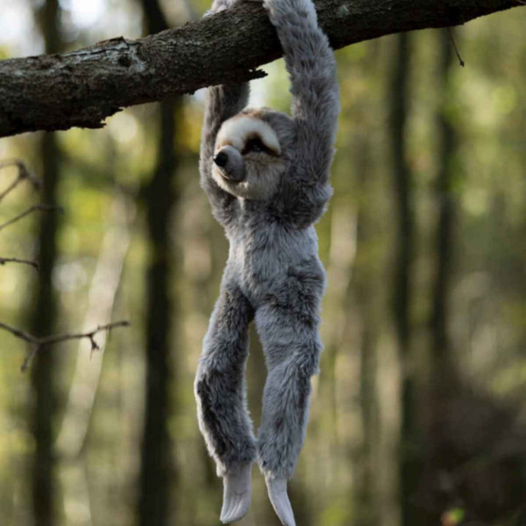 Animigos | World of Nature | Hanging Sloth | Dynamic View | ChocoLoons