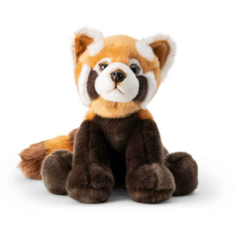 Animigos | World of Nature | Red Panda | Front View | ChocoLoons