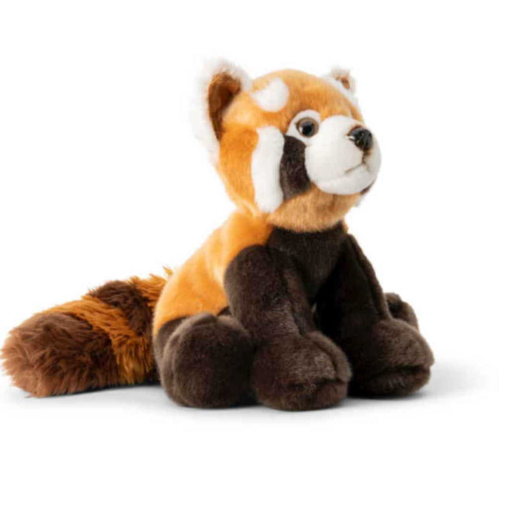 Animigos | World of Nature | Red Panda | Side View | ChocoLoons