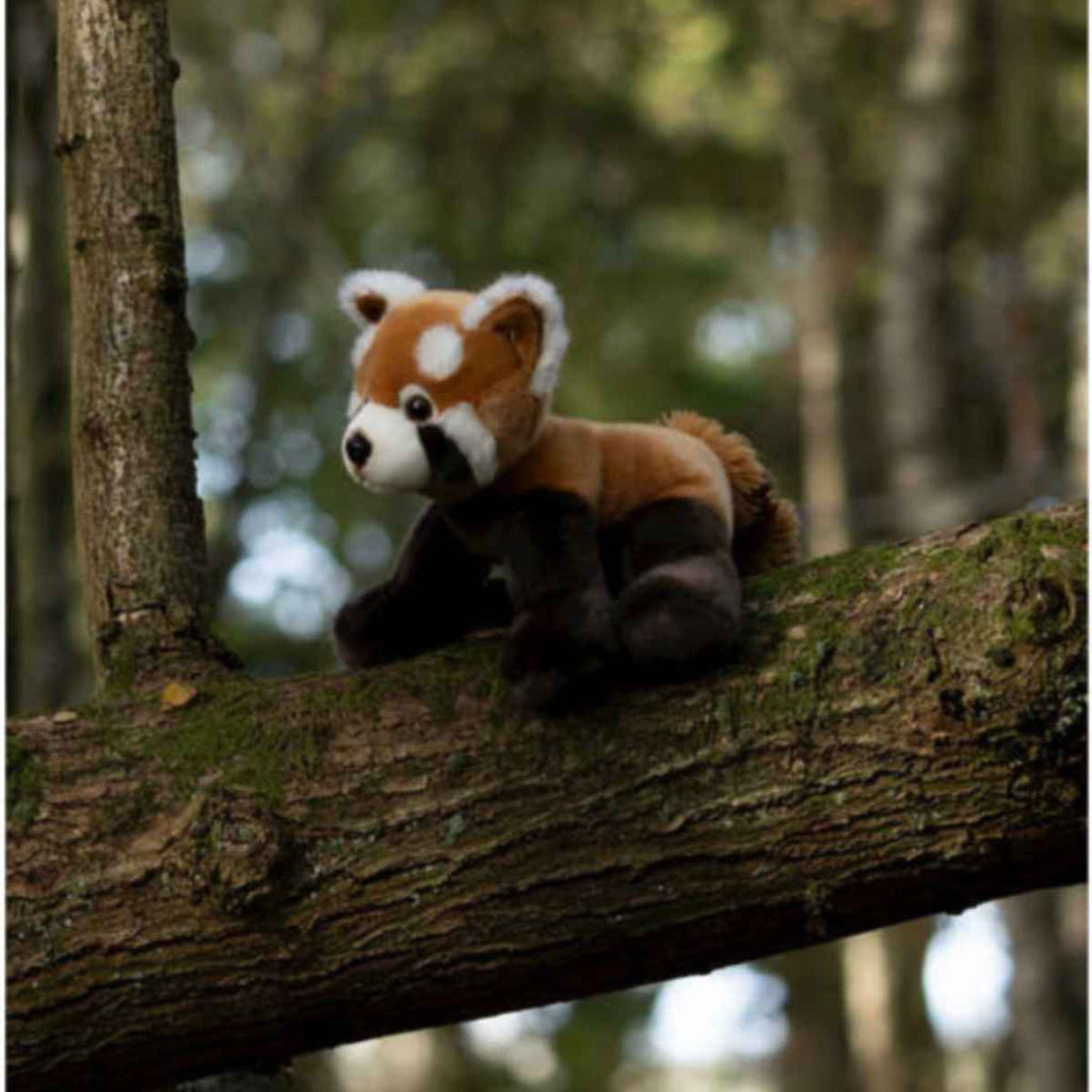 Animigos | World of Nature | Red Panda | Dynamic View | ChocoLoons